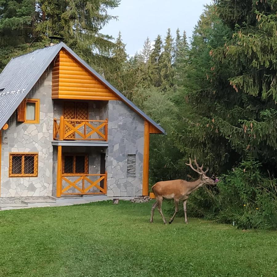 Chata Tatry Tatranska Strba Exterior foto